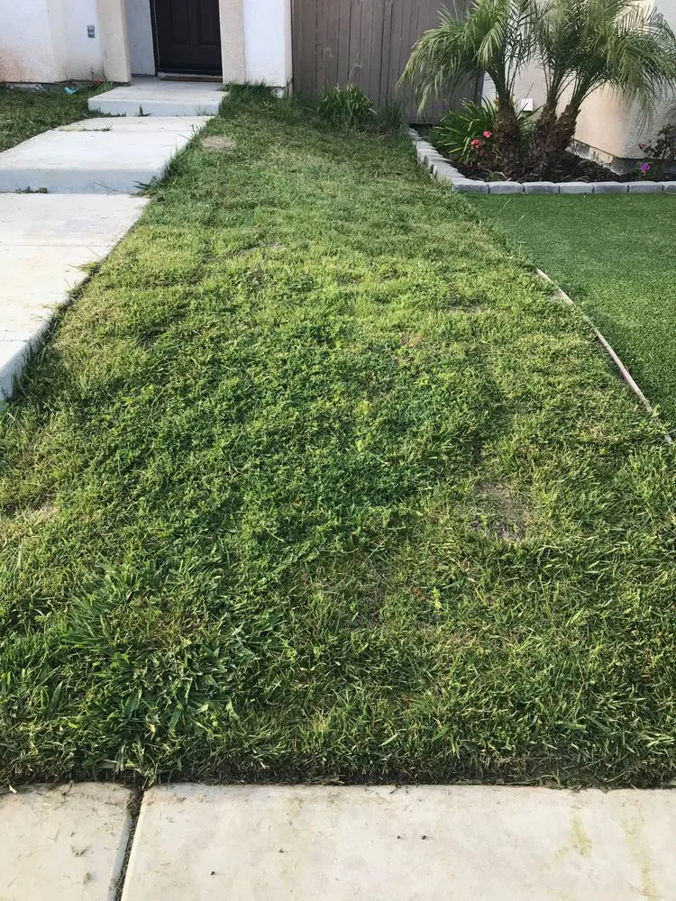 Trusted residential landscaping experts serving Chula Vista, CA - Zip Lawn Mowing