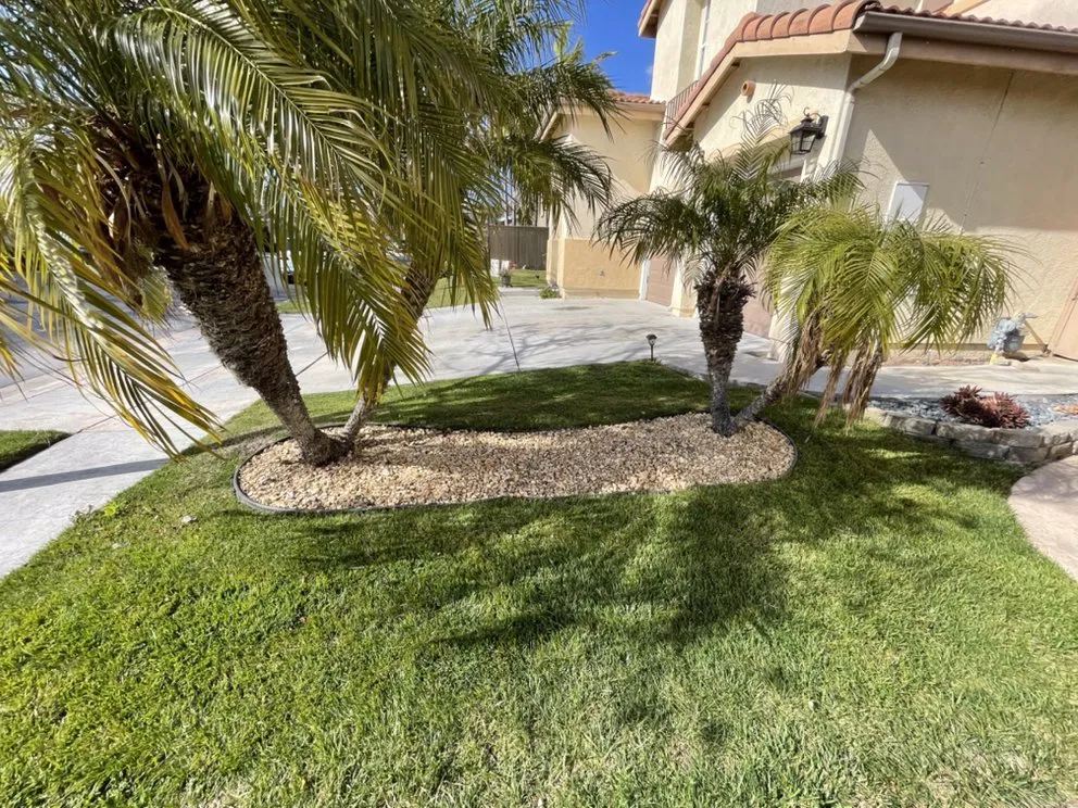 Local yard cleanup service in Chula Vista, CA by Zip Lawn Mowing