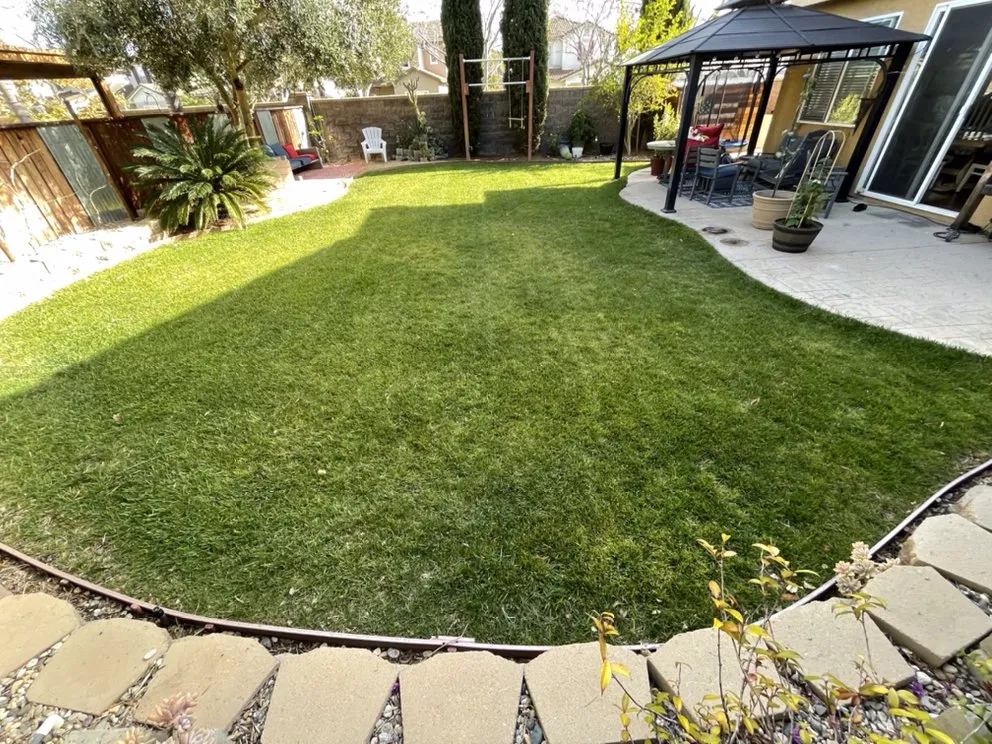 Expert lawn mowing service experts serving Chula Vista, CA - Zip Lawn Mowing