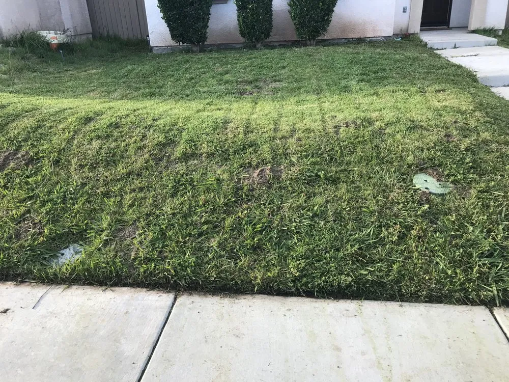 Reliable lawn mowing service in Chula Vista, CA by Zip Lawn Mowing