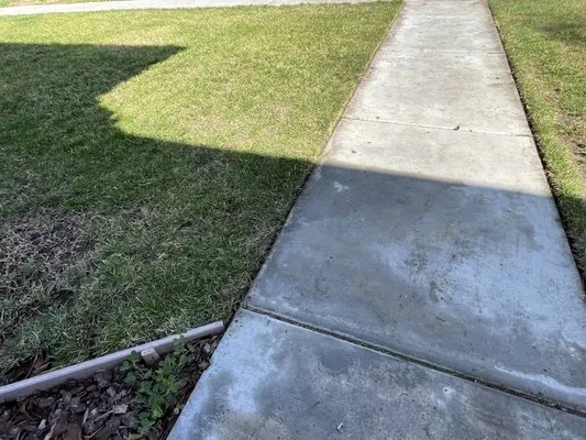 Zip Lawn Mowing Logo