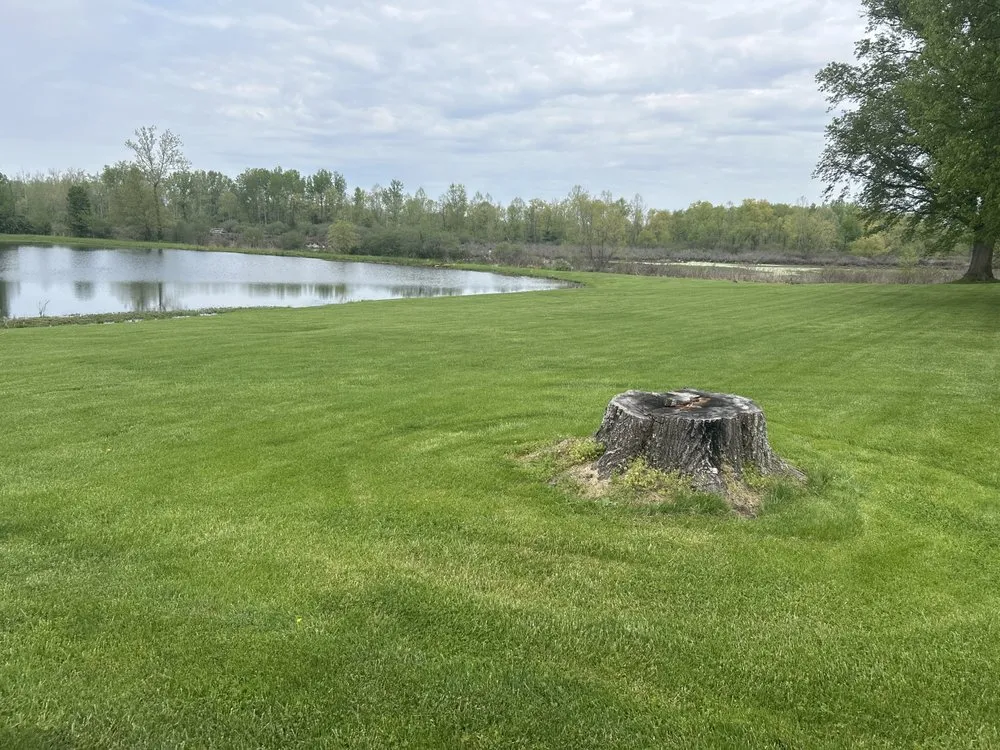 Local outdoor landscaping experts serving Seymour, IN - Zip Mowing