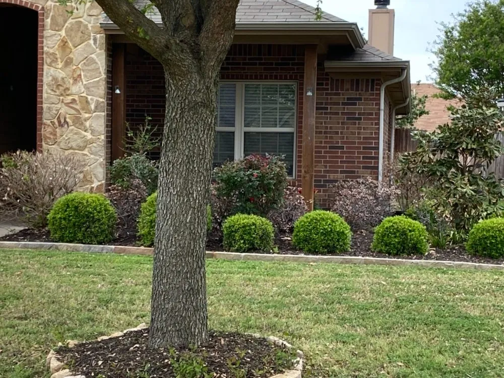 Affordable yard cleanup service in Granbury, TX by ZipLawn