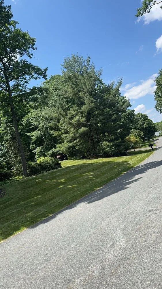 Local yard cleanup service experts serving Coplay, PA - Zippy Landscaping