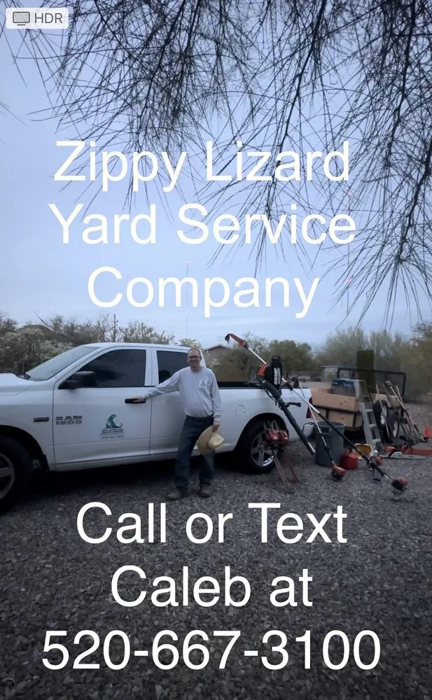 Affordable lawn care service for outdoor upgrades across Tucson, AZ - Zippy Lizard Yard Service