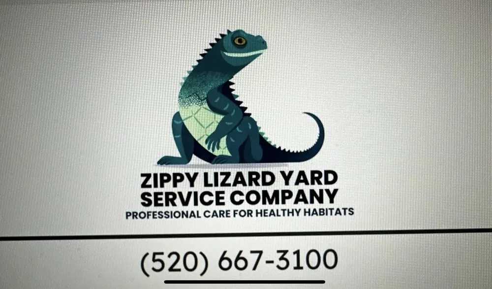 Professional outdoor landscaping in Tucson, AZ by Zippy Lizard Yard Service