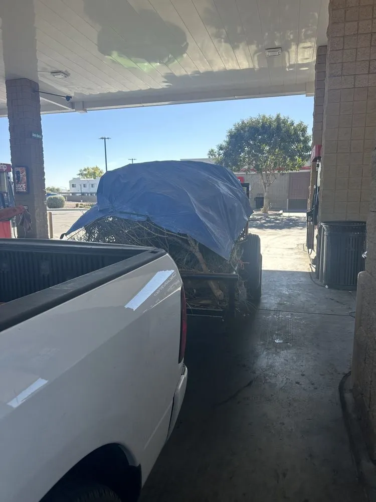 Affordable garden landscaping experts serving Tucson, AZ - Zippy Lizard Yard Service