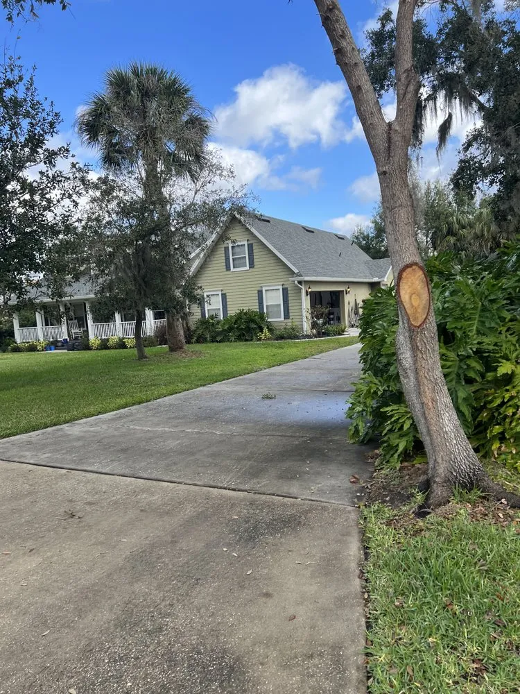 Expert landscape installation in Orlando, FL by Zippy Property Maintenance