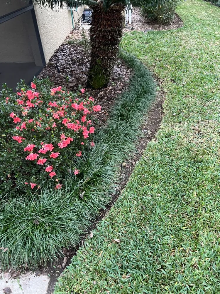 Professional residential landscaping in Orlando, FL - Zippy Property Maintenance