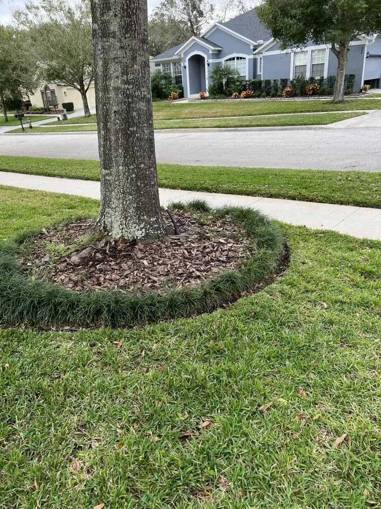 Professional outdoor landscaping in Orlando, FL by Zippy Property Maintenance