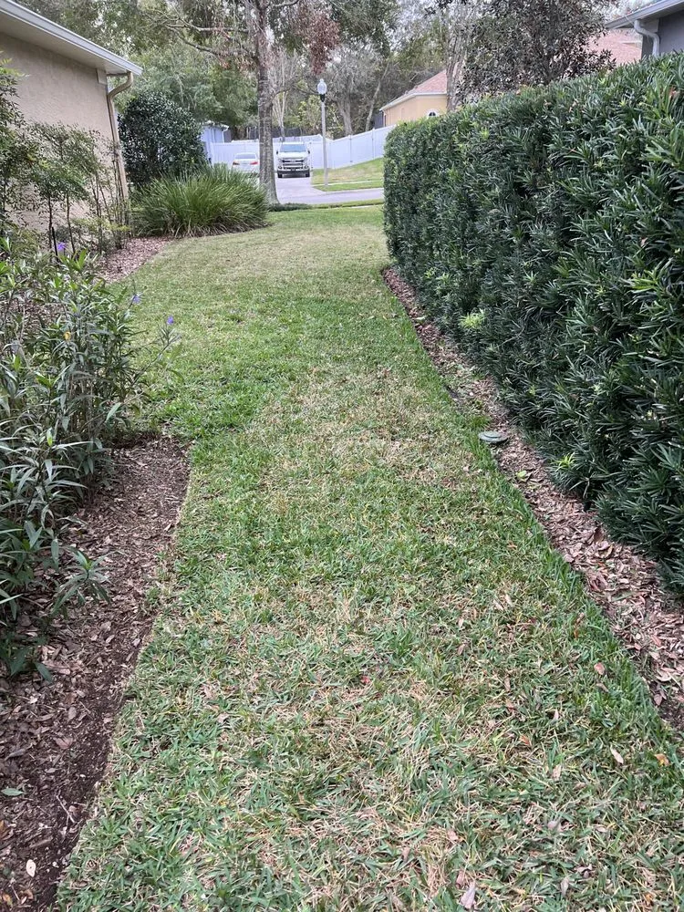 Local landscape design for beautiful yards in Orlando, FL by Zippy Property Maintenance