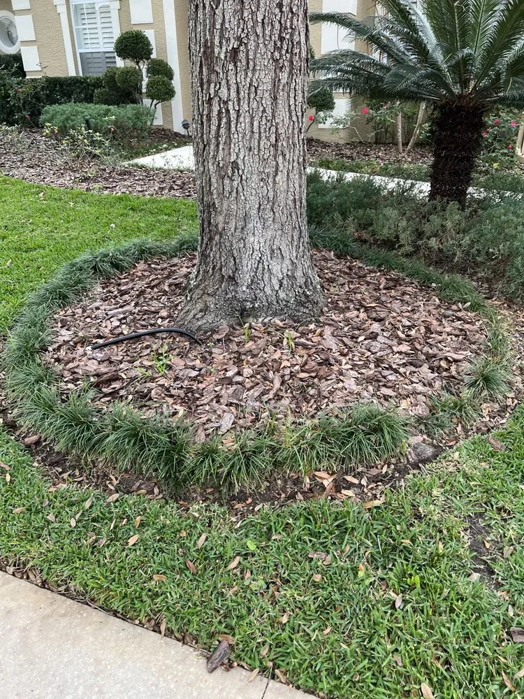Affordable landscape installation in Orlando, FL - Zippy Property Maintenance