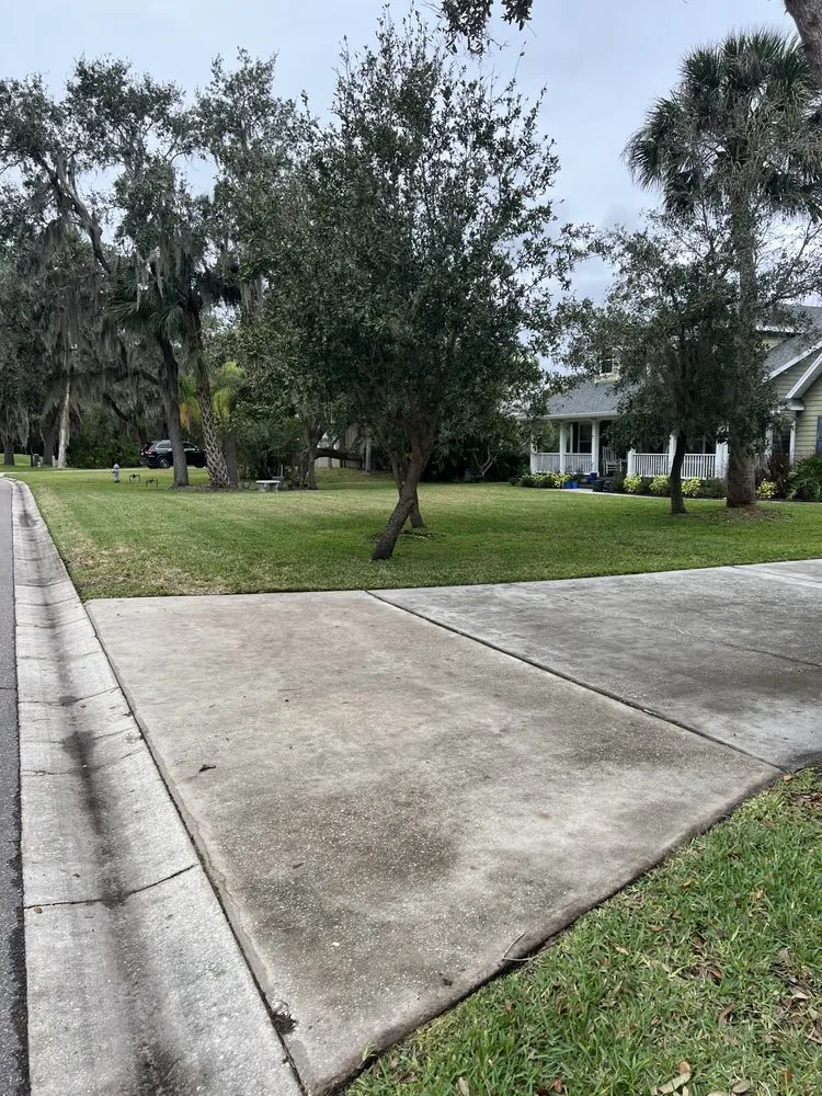Expert yard maintenance experts serving Orlando, FL - Zippy Property Maintenance