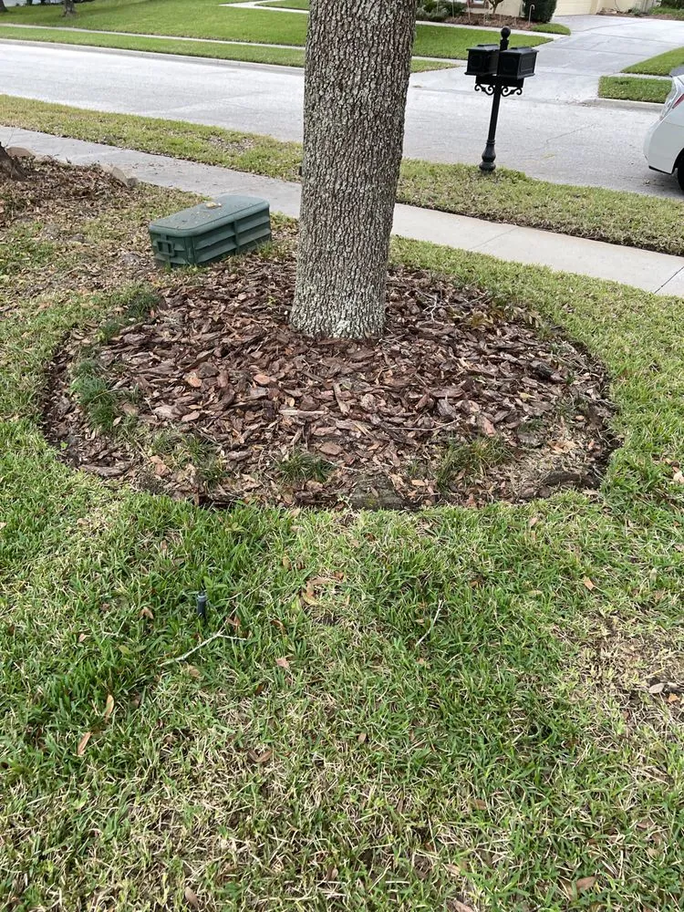 Local residential landscaping experts serving Orlando, FL - Zippy Property Maintenance