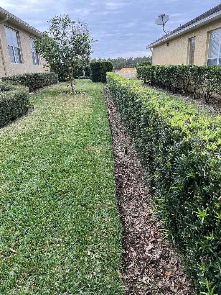 Affordable yard maintenance in Orlando, FL - Zippy Property Maintenance
