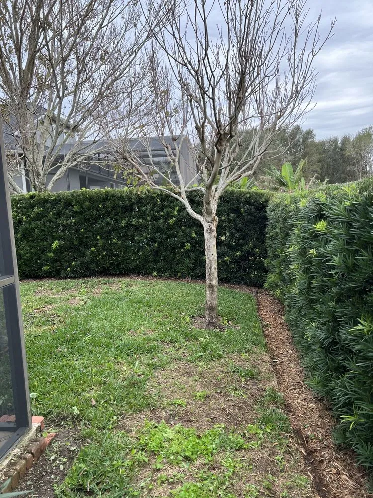 Top-rated residential landscaping experts serving Orlando, FL - Zippy Property Maintenance