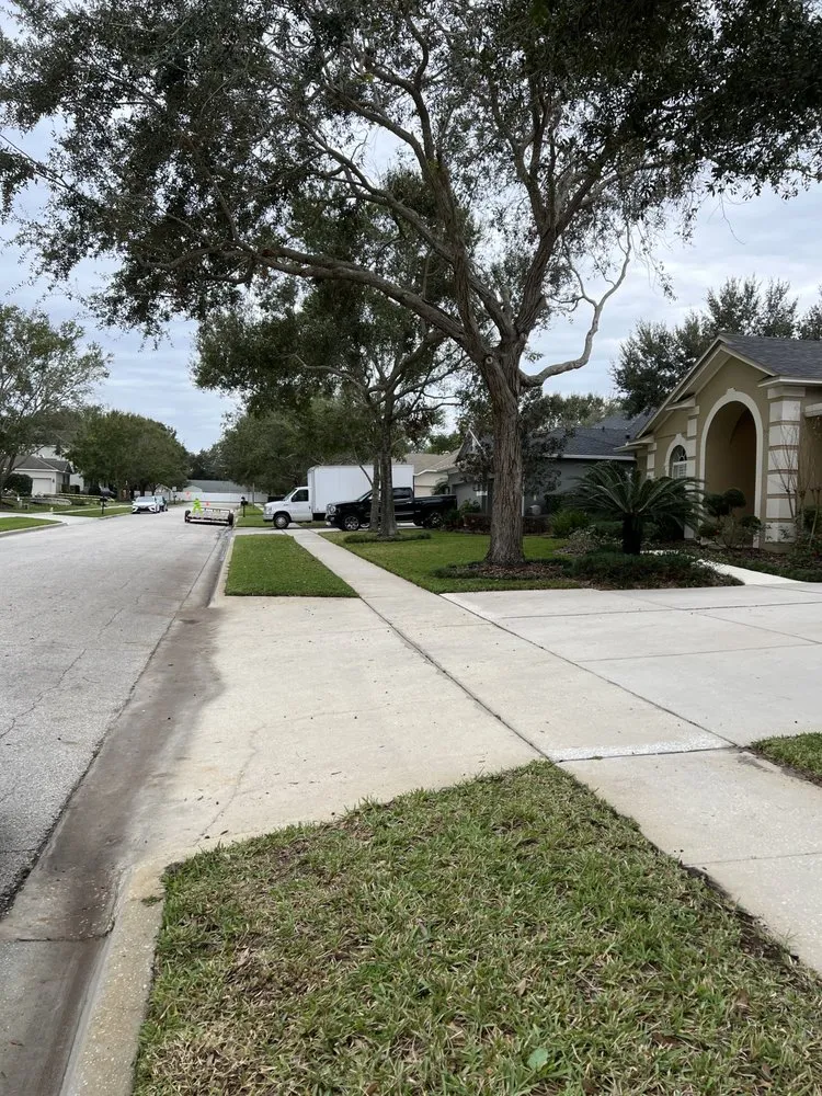 Trusted outdoor landscaping for beautiful yards across Orlando, FL - Zippy Property Maintenance