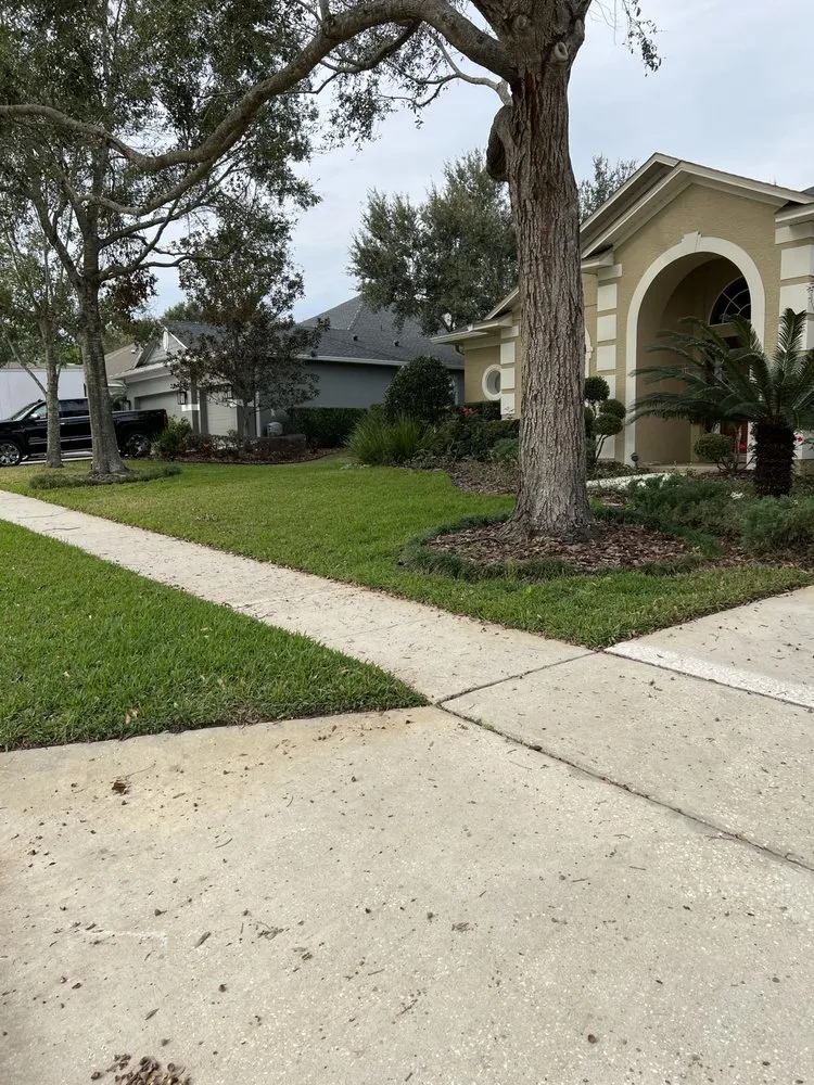 Custom garden landscaping for beautiful yards in Orlando, FL by Zippy Property Maintenance