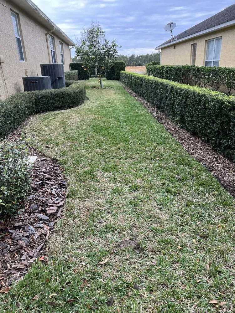 Reliable lawn mowing service for beautiful yards in Orlando, FL by Zippy Property Maintenance