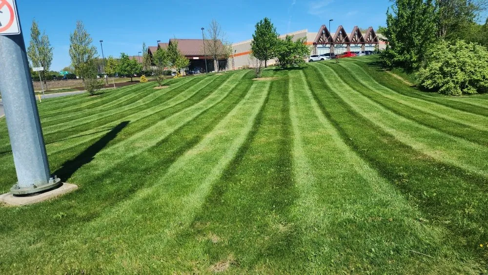Top-rated residential landscaping experts serving Lewistown, PA - Zippz Lawn Care