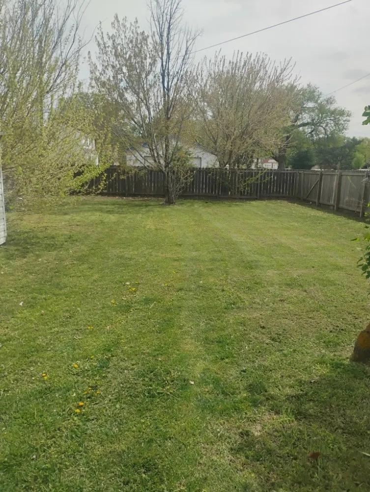 Expert yard cleanup service in Wichita, KS - Zips Grass and Gutters