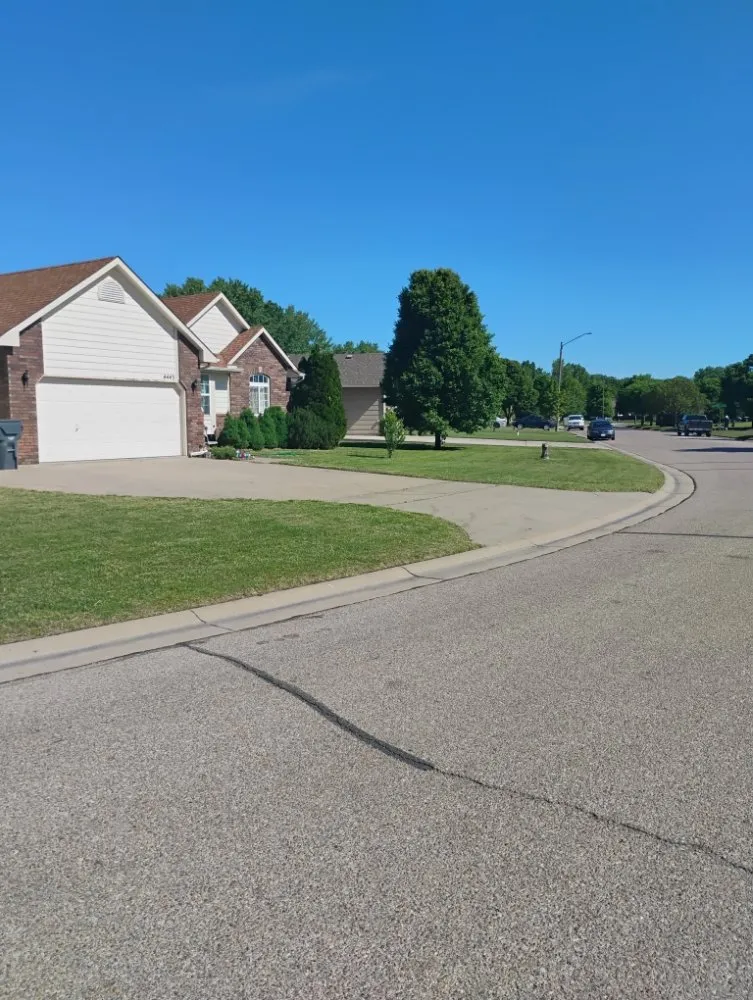 Reliable yard cleanup service in Wichita, KS by Zips Grass and Gutters