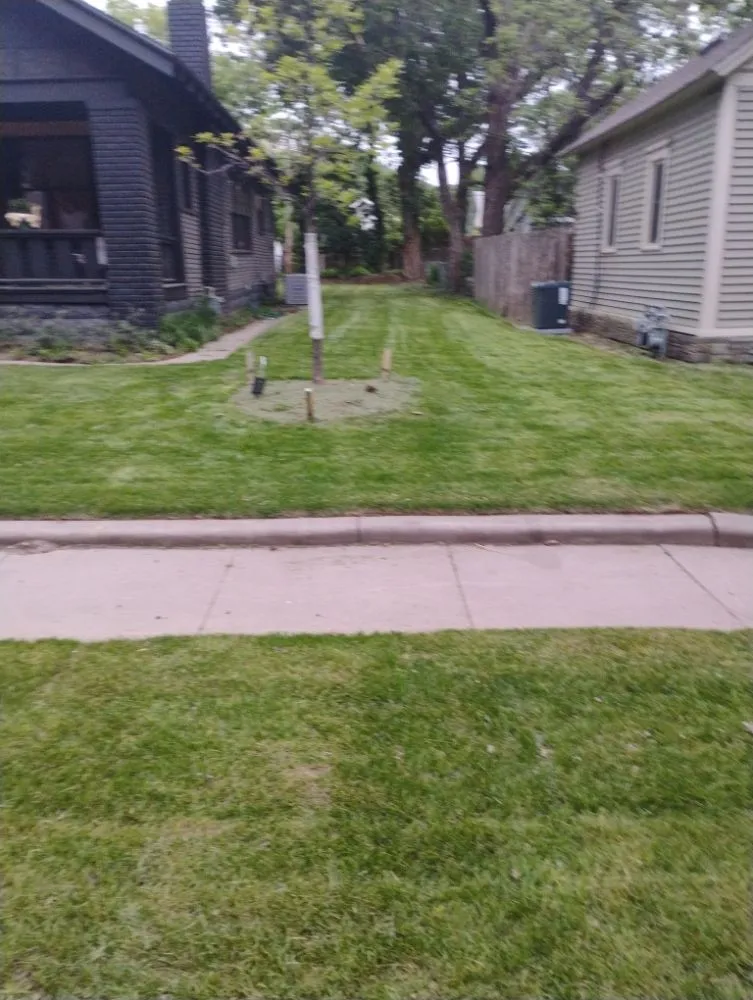 Reliable lawn mowing service for residential properties in Wichita, KS by Zips Grass and Gutters
