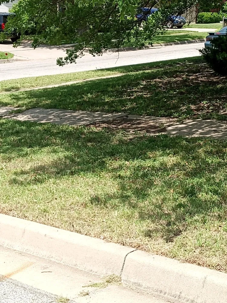 Top-rated garden landscaping for outdoor upgrades in Wichita, KS by Zips Grass and Gutters