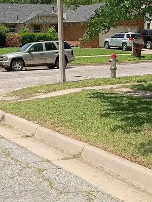 Zips Grass and Gutters Logo