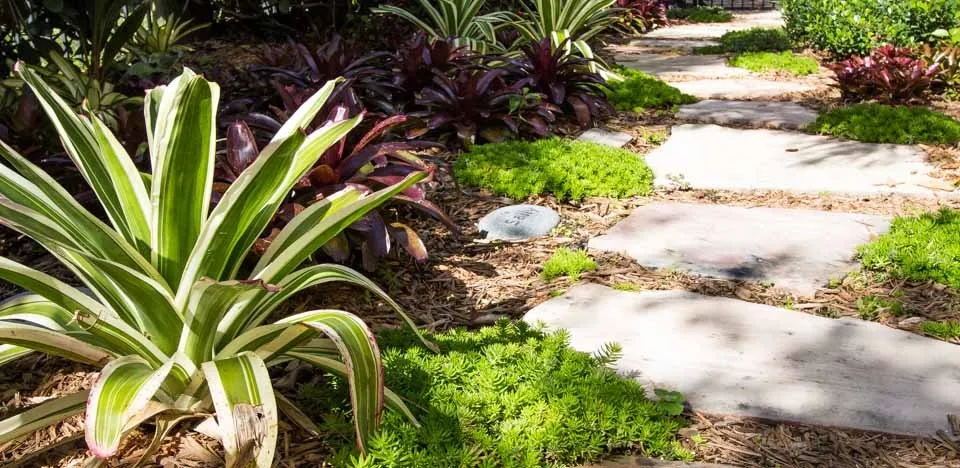 Local landscape design in Southwest Ranches, FL by Zito Landscape Design