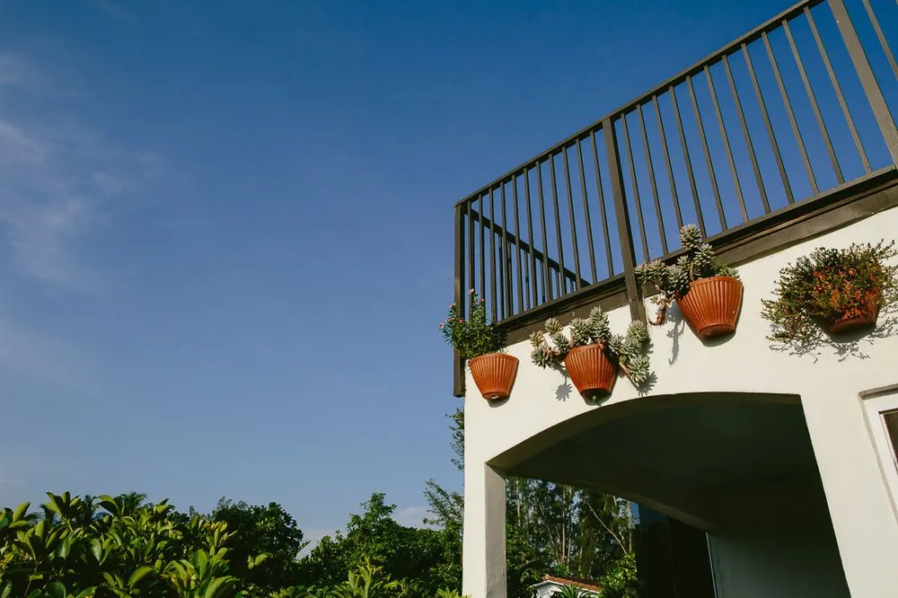 Custom yard cleanup service in Southwest Ranches, FL by Zito Landscape Design