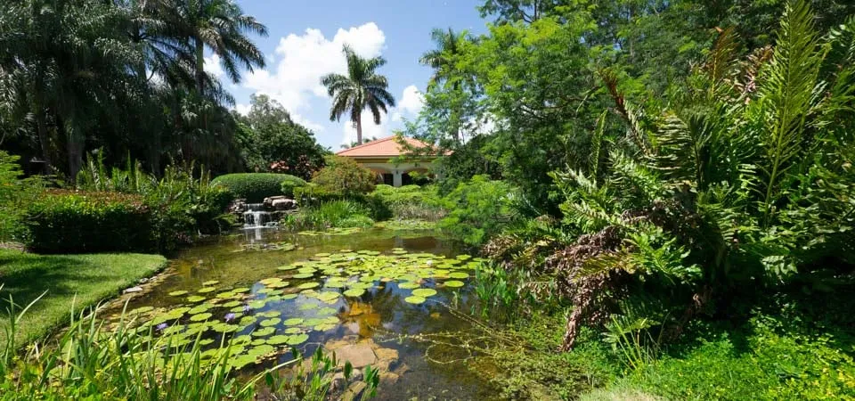 Local landscape design for outdoor upgrades in Southwest Ranches, FL by Zito Landscape Design