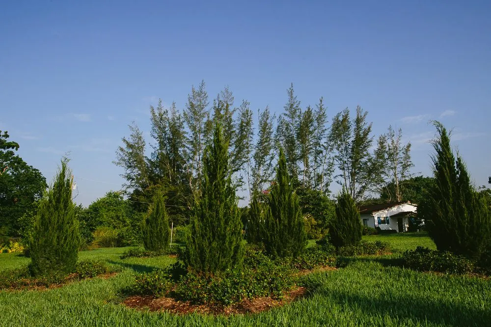 Local yard maintenance near you in Southwest Ranches, FL by Zito Landscape Design