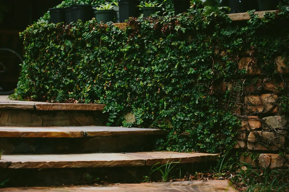 Reliable outdoor landscaping experts serving Southwest Ranches, FL - Zito Landscape Design