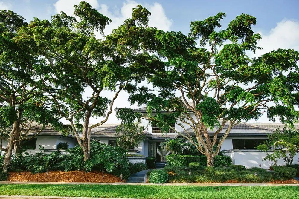 Trusted outdoor landscaping for outdoor upgrades in Southwest Ranches, FL by Zito Landscape Design