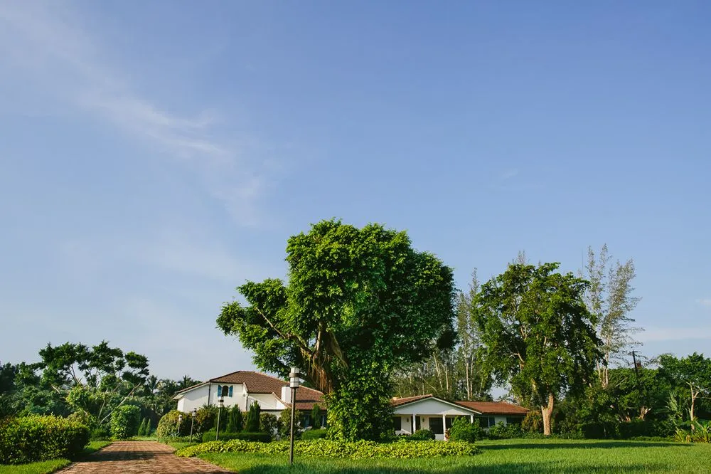 Expert residential landscaping for homes in Southwest Ranches, FL by Zito Landscape Design