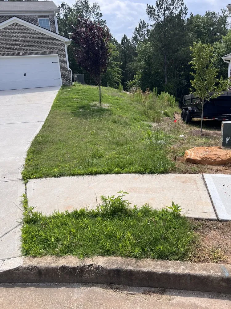 Professional residential landscaping in Loganville, GA by Ziur Junk & Lawn