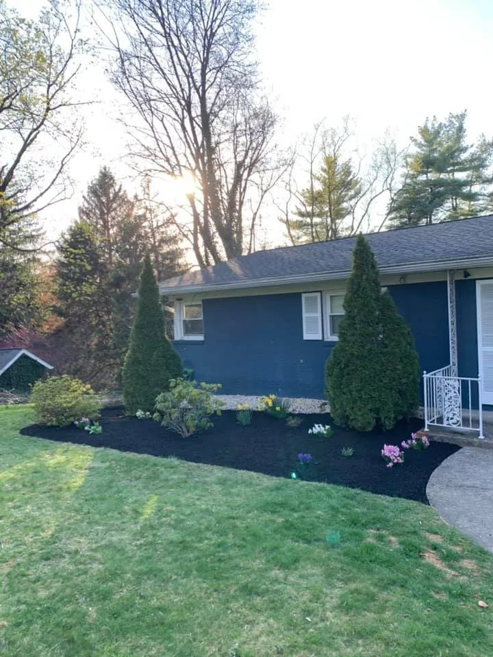 Expert yard cleanup service for beautiful yards across York, PA - Zizka Property Solutions