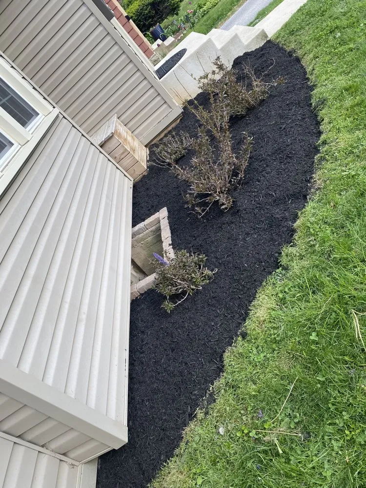 Professional yard cleanup service for year-round maintenance in Havertown, PA by Zizzlo Landscaping & Hardscaping