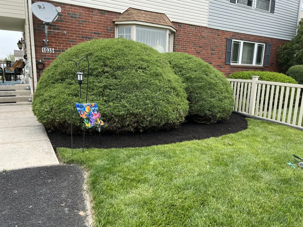 Professional lawn care service experts serving Havertown, PA - Zizzlo Landscaping & Hardscaping