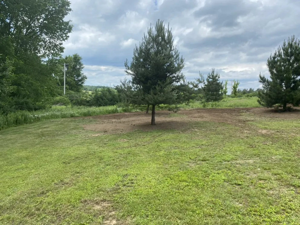 Affordable yard cleanup service for outdoor upgrades in North Tonawanda, NY by ZJL Enterprises