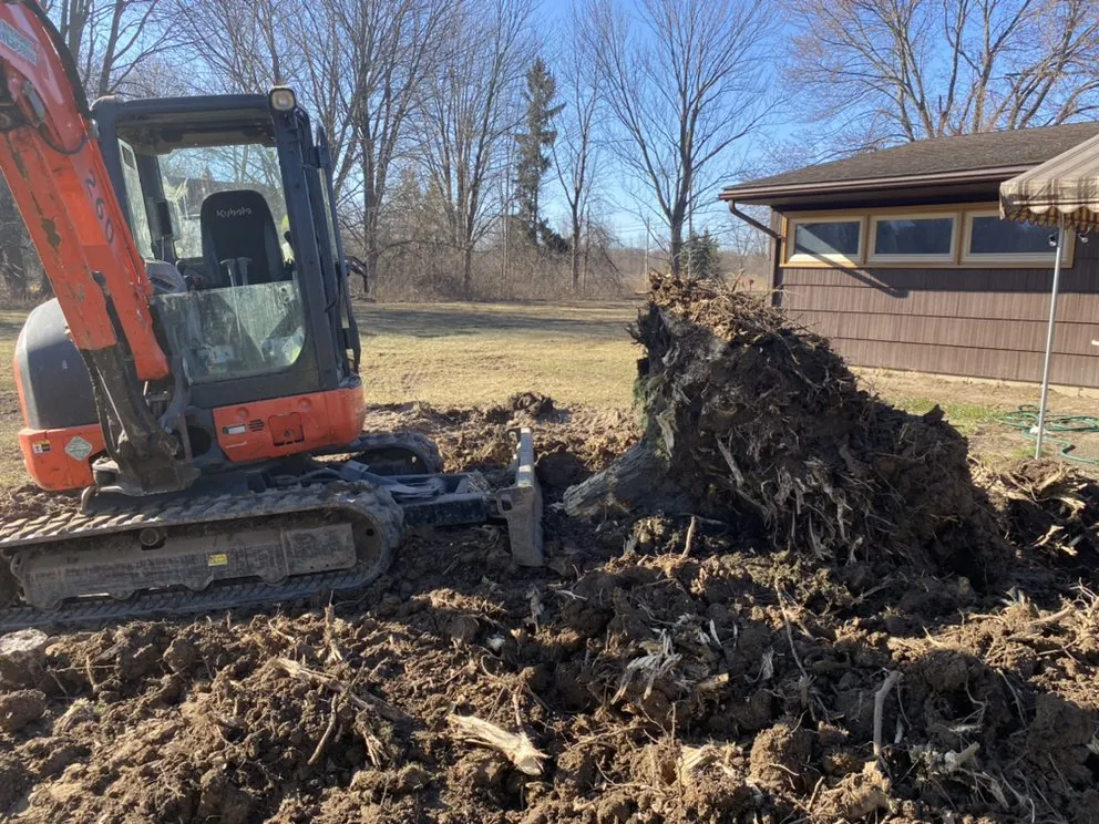 Professional yard maintenance experts serving North Tonawanda, NY - ZJL Enterprises