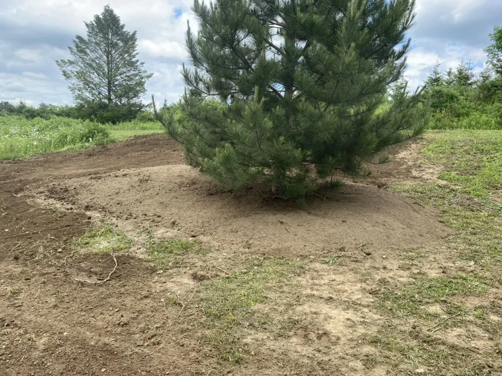 Top-rated lawn mowing service for residential properties across North Tonawanda, NY - ZJL Enterprises