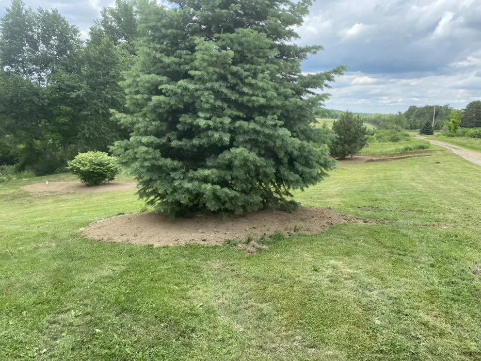 Reliable landscape installation for outdoor upgrades in North Tonawanda, NY by ZJL Enterprises