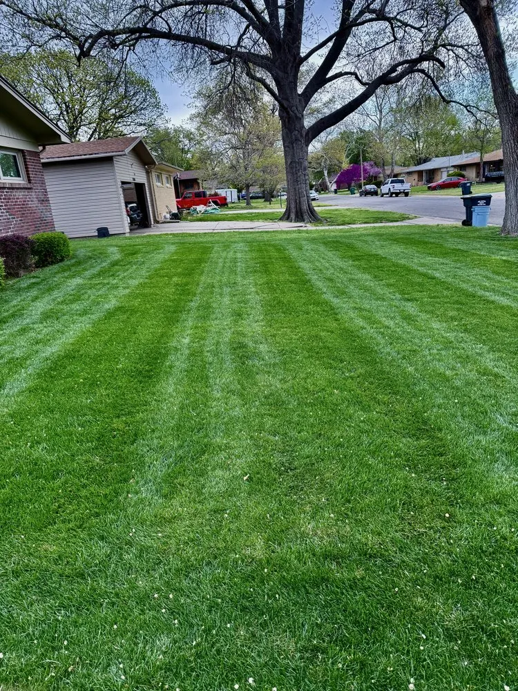 Professional lawn care service experts serving Wichita, KS - ZJM Lawn Care