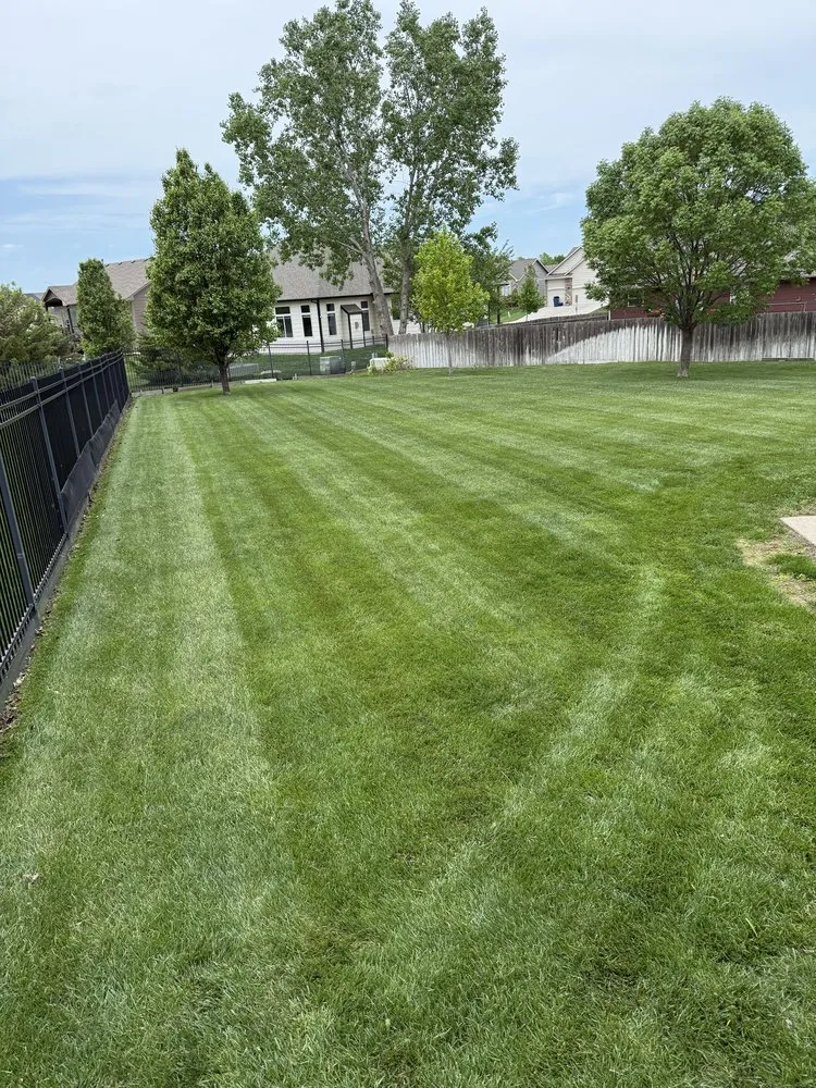 Custom lawn mowing service near you across Wichita, KS - ZJM Lawn Care