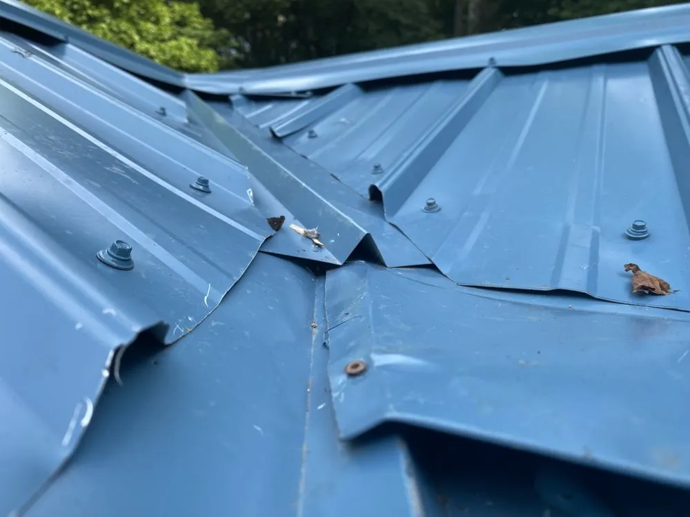 Professional landscape installation for outdoor upgrades in Blackstone, MA by Zj's Home Improvements