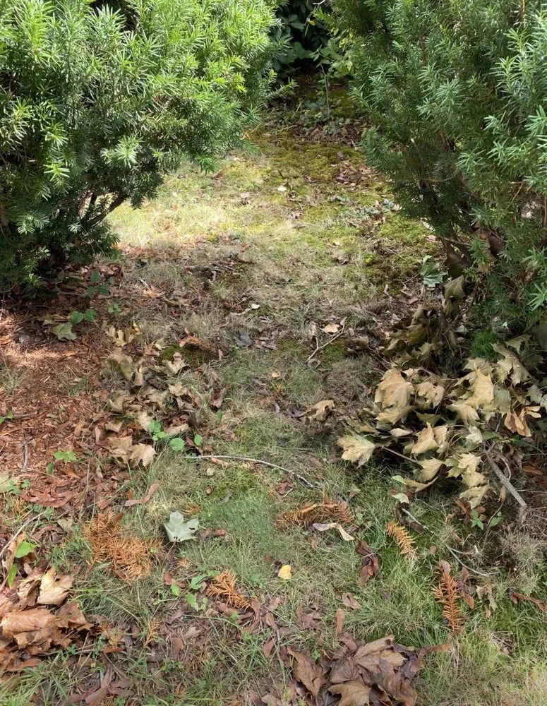 Custom residential landscaping experts serving Blackstone, MA - Zj's Home Improvements