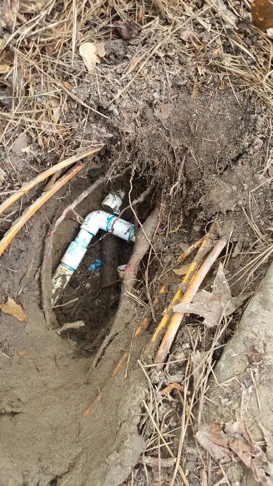 Affordable lawn care service for homes across Pensacola, FL - Z&L Landscaping & Irrigation