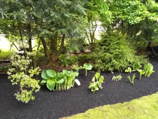 Trusted lawn care service experts serving New Britain, CT - Z&L Landscaping